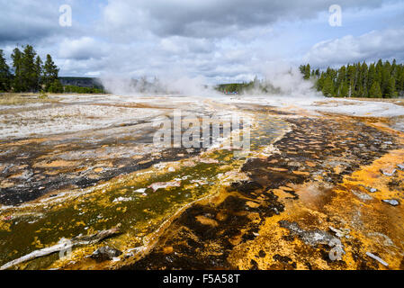 Le ruissellement de coloré, splendide Comète et Geysers Daisy, Upper Geyser Basin, Parc National de Yellowstone, Wyoming, USA Banque D'Images