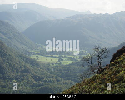 Borrowdale et ses environs fells vu de pentes de Maiden Moor sur Newlands Horseshoe dans Cumbria UK avec l'arbre de premier plan Banque D'Images