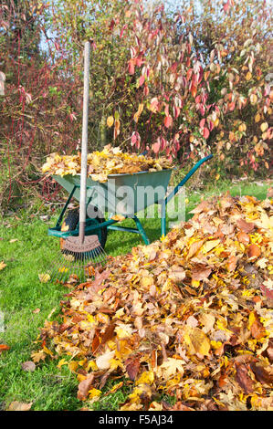 Pile de feuilles d'automne par le râteau et pelle Banque D'Images