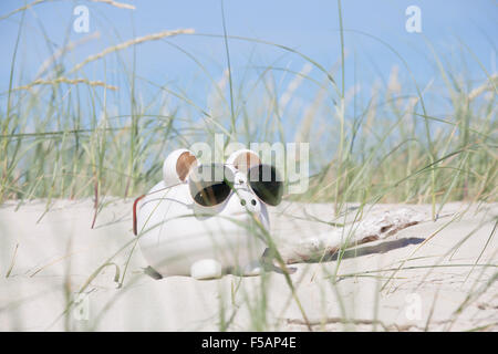 Une tirelire blanche dans les dunes sur la plage le port de lunettes de soleil Banque D'Images