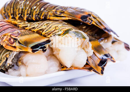 Queues de homard crues sur une plaque blanche prêt à cuire Banque D'Images