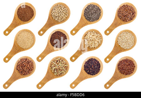 Une variété de grains et graines sans gluten (sarrasin, amarante, le riz brun, le millet, le sorgho, le teff, noir, blanc et noir le quinoa Banque D'Images