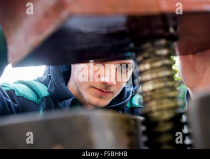 Francfort, Allemagne. 23 Oct, 2015. Un employé de "ainAeppelHaus' inspecte un panier historique de Francfort, Allemagne, 23 octobre 2015. L'organisation sans but lucratif "ainAeppelHaus Streuobstzentrum Lohrberg e.V.' s'engage à protéger les vergers meadow et gère 150 hectares de terres sur Lohrberg hill. Photo : Alexander HEINL/dpa/Alamy Live News Banque D'Images