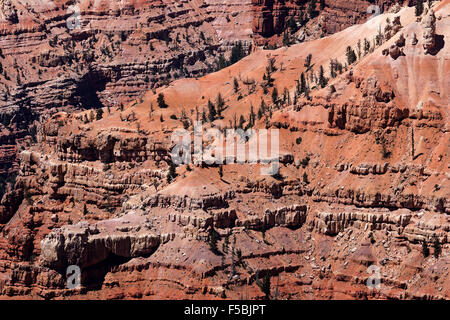 Vues d'érosions de grès dans l'Amphithéâtre, Cedar Breaks National Monument, Utah, USA Banque D'Images