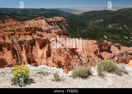 Vues d'érosions de grès dans l'Amphithéâtre, Cedar Breaks National Monument, Utah, USA Banque D'Images