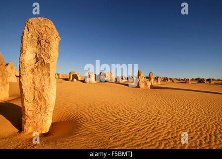 Désert des Pinnacles en Australie occidentale Banque D'Images