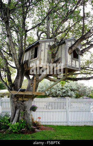 Enfants Maison de l'arbre à Key West en Floride USA Voyages Banque D'Images