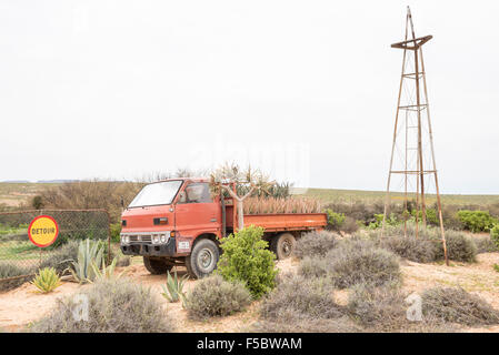 VANRHYNSDORP, AFRIQUE DU SUD - le 12 août 2015 : un écran d'un véhicule avec aloès et arbres carquois à côté de la route entre l'Vanrhy Banque D'Images