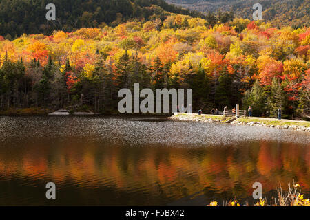 Étang de castors en automne, sur la route 112, White Mountain National Forest, New Hampshire, New England USA Banque D'Images