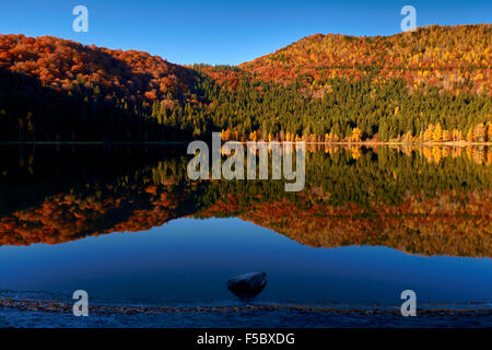 Beau matin d'automne, le lac de Saint Anna, Transylvanie, Roumanie, Europe Banque D'Images