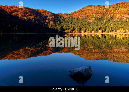 Beau matin d'automne, le lac de Saint Anna, Transylvanie, Roumanie, Europe Banque D'Images