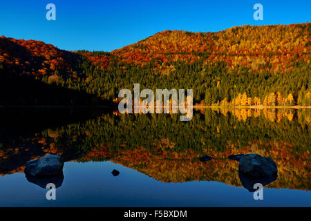 Lac Sainte Anna, Transylvanie, Roumanie, Europe, beau paysage matinal d'automne Banque D'Images