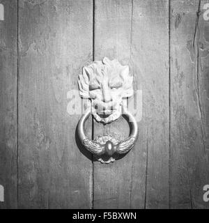 Tête de Lion sur le bois. D'un particulier knocker Banque D'Images