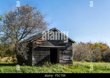 Trouvé ce poulailler abandonné au milieu d'une petite cour qui est progressivement repris par les arbres environnants. Banque D'Images