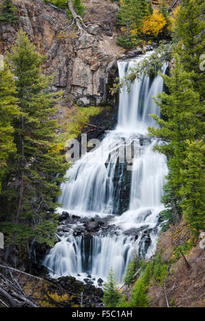 Heinz-günther Falls, parc national de Yellowstone, Wyoming. Banque D'Images