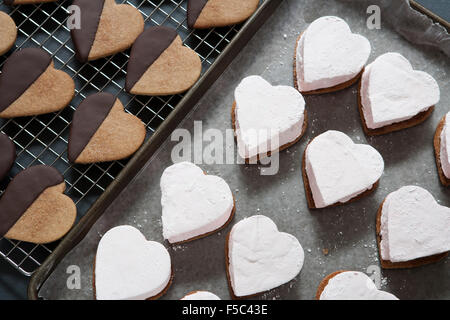 Heart-Shaped rose guimauves à Cookies biscuits Graham prêtes à être transformées en S'Mores Banque D'Images