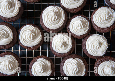 Mini Cupcakes au chocolat avec crème au beurre Vanille glaçage sur grille de refroidissement Banque D'Images