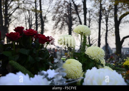 De belles roses et chrysanthèmes Banque D'Images