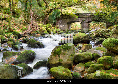 Shaugh Pont sur le Dartmoor où les rivières Meavy Plym et rencontrez Banque D'Images