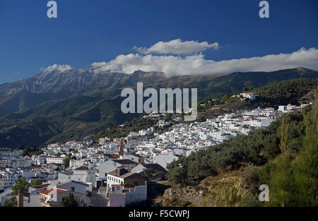 Andalousie en Espagne : le joli peublo blanco de Competa Banque D'Images