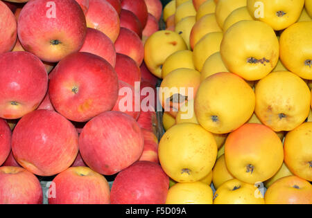 Les pommes biologiques frais sur le marché dans des couleurs éclatantes Banque D'Images