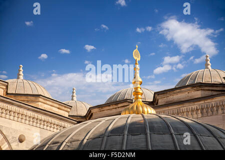 Vue détaillée d'une Mosquée d'Istanbul. Banque D'Images