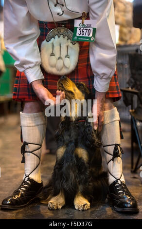 Crufts dog show à NEC, Birmingham - Colin Fleurs de Boness en Écosse avec son Cocker Anglais Banque D'Images