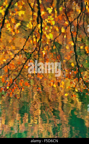 Puits de Waggoners couleurs de l'automne reflète dans l'eau. Banque D'Images