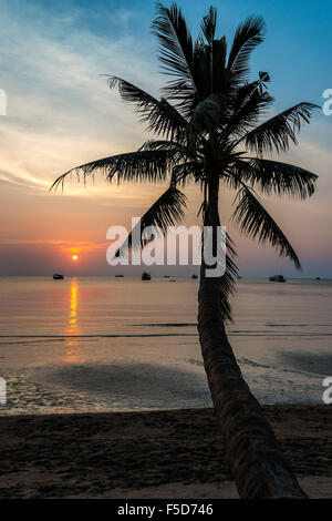 Palmier par mer au coucher du soleil, mer de Chine du Sud, Golfe de Thailande, Koh Tao, Thaïlande Banque D'Images