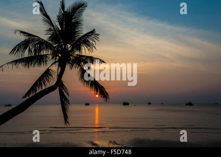 Palmier par mer au coucher du soleil, mer de Chine du Sud, Golfe de Thailande, Koh Tao, Thaïlande Banque D'Images