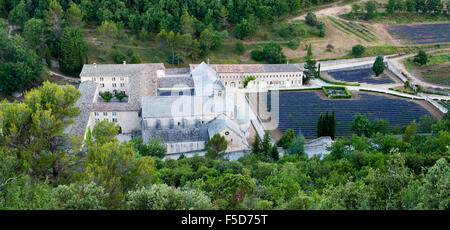 Voir l'abbaye cistercienne de l'Abbaye Notre-Dame de Sénanque avec champ de lavande, Vaucluse, Provence, Provence-Alpes-Côte d'Azur Banque D'Images