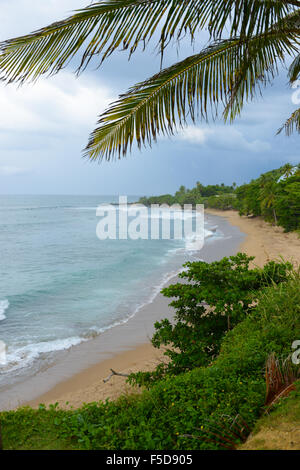 Plage de Domes est un spot de surf très populaire à Rincon, Puerto Rico. USA territoire. L'île des Caraïbes. Banque D'Images