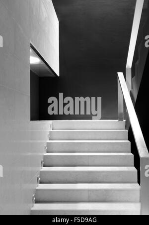 Immeuble de bureaux modernes intérieur détail d'escalier vertical noir et blanc Banque D'Images