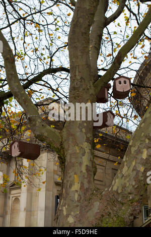 Boîtes d'oiseaux suspendus dans les arbres, Liverpool, Merseyside, Royaume-Uni Banque D'Images