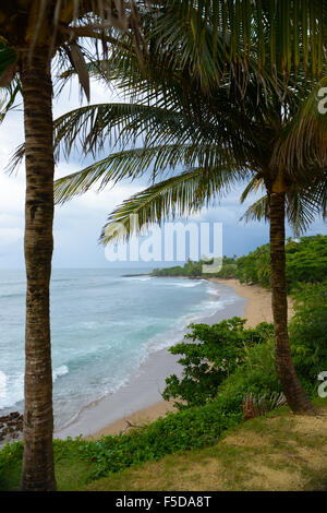 Plage de Domes est un spot de surf très populaire à Rincon, Puerto Rico. USA territoire. L'île des Caraïbes. Banque D'Images