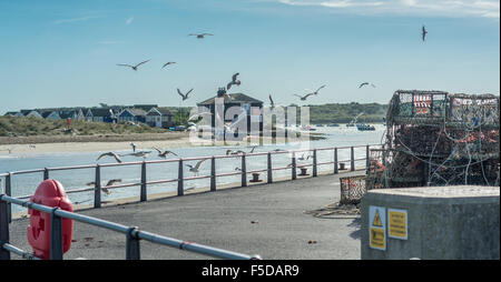 Mouettes troupeau au-dessus de Mudeford Quay, Christchurch, Dorset, UK. Prise le 29 septembre 2015. Banque D'Images