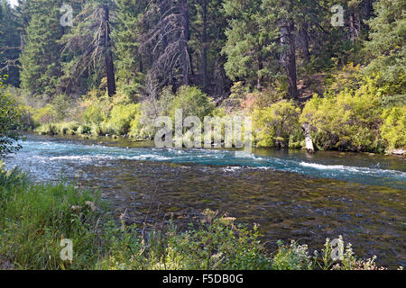 La rivière Metolius dans les montagnes Cascades du centre de l'Oregon, près de la ville de villégiature de Sœurs, de l'Oregon Banque D'Images