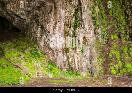 La chambre centrale dans la grotte, Smoo Durness, Sutherland, Scotland Banque D'Images