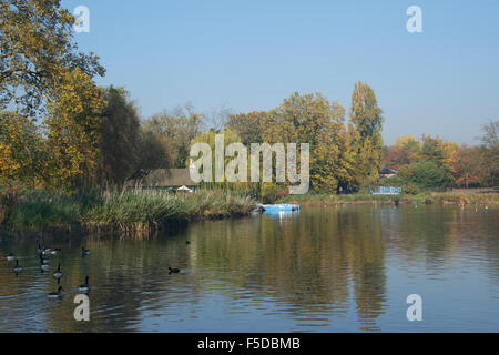 Lac de plaisance de Regents Park Londres Angleterre Banque D'Images