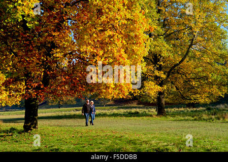 Middle-aged couple walking through Levens Park, South Lakeland, Cumbria, Angleterre, Royaume-Uni Banque D'Images