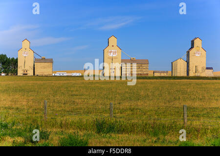 Les silos à Mossleigh, Alberta, Canada Banque D'Images