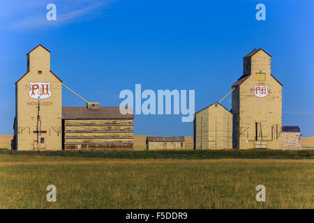 Les silos à Mossleigh, Alberta, Canada Banque D'Images