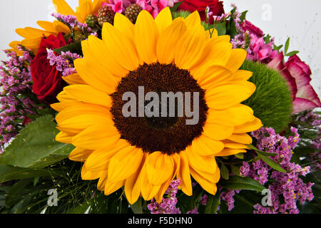 Beau bouquet de fleurs fraîches colorées isolé sur fond blanc Banque D'Images