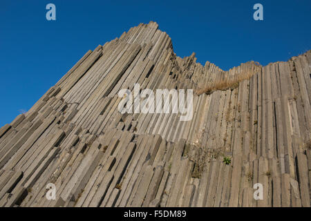 Panska Skala (Herrnhausfelsen, femme de rock), Rocky hill, formation géologique, orgue, Pierre Kamenicky Senov, République Tchèque Banque D'Images