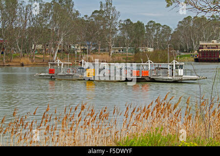 La traversée en ferry de la rivière Murray de roseaux de berges en premier plan & gommiers sur banque jusqu'à Swan Atteindre Sth Australie Banque D'Images