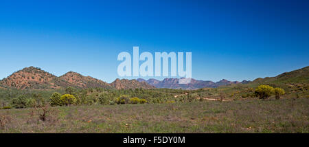 Vue panoramique du paysage de l'outback, au-delà de l'augmentation des pics de Flinders red hills & plains teinté de vert après la pluie, sous ciel bleu dans le sud de l'Australie Banque D'Images