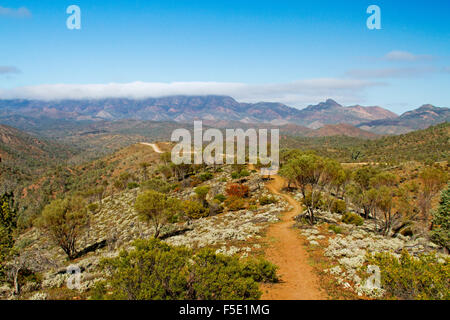 Paysage spectaculaire de pics de Flinders passant au-delà des collines barbouillés avec fleurs sauvages dans le sud de l'Australie outback Banque D'Images