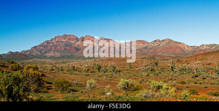 Paysage panoramique spectaculaire avec des pics rocheux rouge & valley sous ciel bleu dans le parc national de Flinders Ranges, outback Australie du Sud Banque D'Images