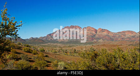 Paysage panoramique spectaculaire red pics rocheux & valley sous ciel bleu dans le parc national de Flinders Ranges, outback Australie du Sud Banque D'Images