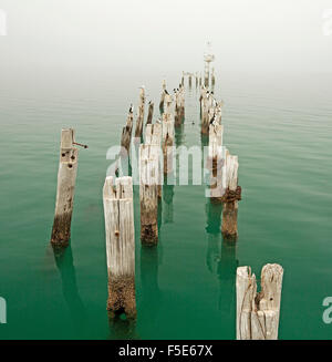 Rangée de old weathered poteaux de bois, une fois partie de jetée, dans l'eau turquoise de la mer calme et disparaître dans la brume de l'horizon obscurcissant Banque D'Images